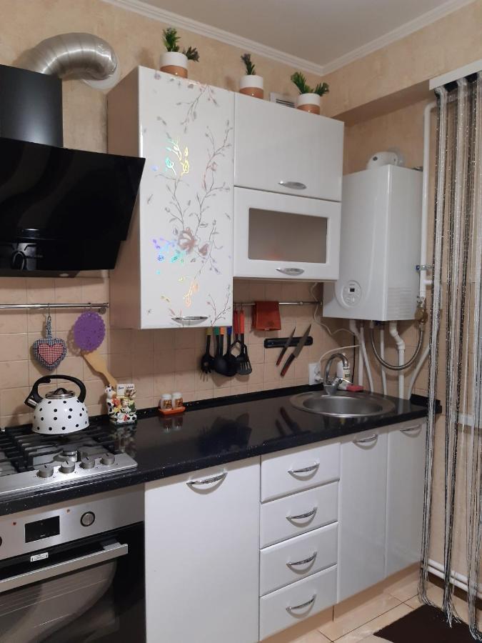 Двокімнатна Apartman Sepetyivka Kültér fotó